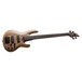 ESP LTD B-1004 Bass, Natural Satin - body