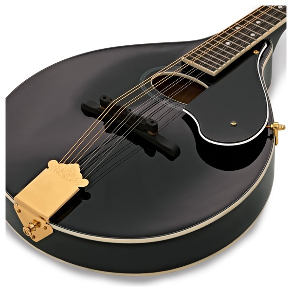 Washburn M1S DL, A Style Mandolin, Black close