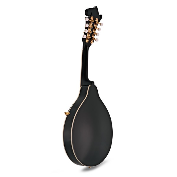 Washburn M1S DL, A Style Mandolin, Black back