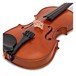 Gewa Aspirante Marseille 1/4 Violin Outfit, Tailpiece
