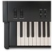 Kawai MP11SE Stage Piano keys3