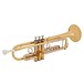 Yamaha YTR8335R Xeno Professional Trumpet, Reverse Tuning Slide back