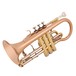 Trevor James Renaissance TJCT6500 Cornet, Lacquer