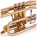 Trevor James Renaissance TJCT6500 Cornet, Lacquer