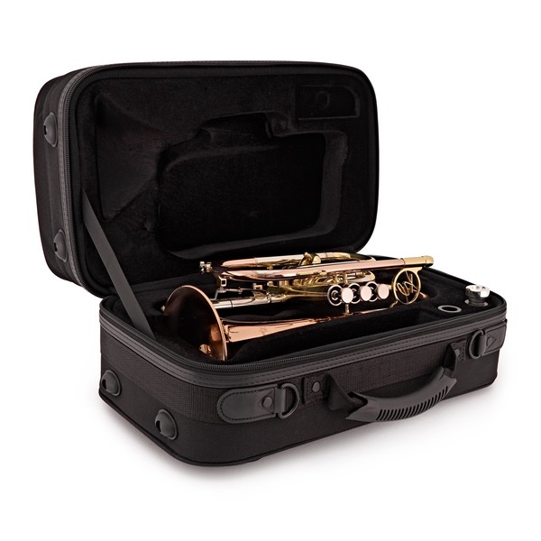 Trevor James Renaissance TJCT6500 Cornet, Lacquer