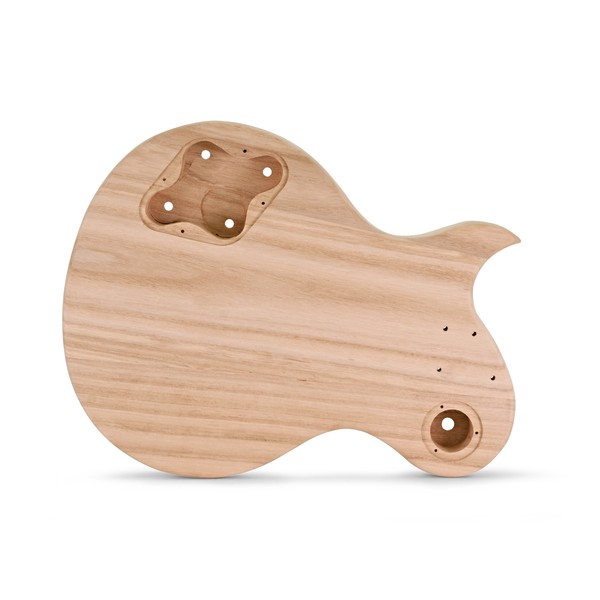 New Jersey Electric Guitar DIY Kit back