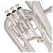 Trevor James Renaissance TRBH5500 Baritone Horn, Valves