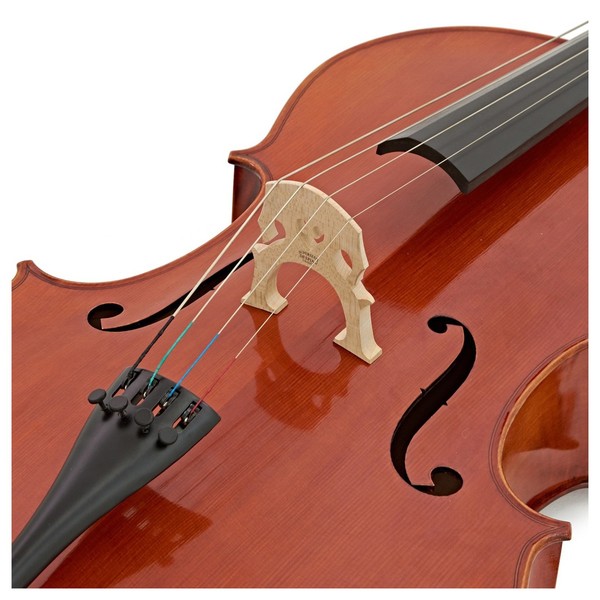 Westbury Intermediate Cello Outfit, 7/8 Size, Bridge