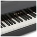 Kawai VPC1 Virtual Piano Controller, Metallic Black