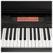 Casio CDP 230R Digital Piano Deluxe Pack, Black