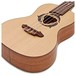 Luna Dolphin Concert Ukulele WN, Solid Spruce Top