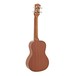 Luna Dolphin Concert Ukulele WN, Solid Spruce Top