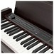 Korg C1 Air Digital Piano, Brown buttons