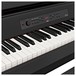 Korg G1 Air Digital Piano, Black