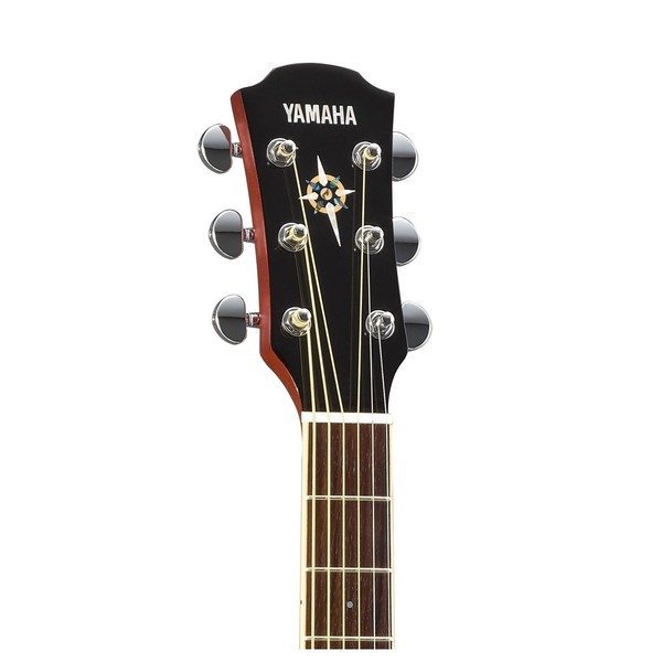 CPX600 Electro Acoustic, Root Beer
