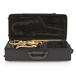 Yamaha YAS280 Student Alto Saxophone case open