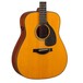Yamaha FGX5 Red Label Electro Acoustic, Heritage Natural - body