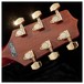 Takamine GD51CE Dreadnought Electro Acoustic, Natural - headstock back