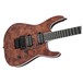 Jackson Pro SL2 Pro, Carmel Burl Close