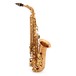 Yanagisawa AWO20U    Alto saxofón, Unlacquered bronz