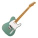 Fender Custom Shop 1965 Relic Telecaster Custom, Sherwood Green