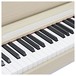 Korg C1 Air Digital Piano, White Ash