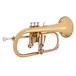 Bach FH600 Aristocrat Bb Flugel Horn back