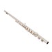 Trevor James Cantabile Flute, Traditional Lip Plate - B-Stock angle