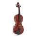 Stentor Conservatoire Viola Outfit, 15 Inch, Front