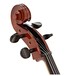 Stentor Conservatoire Cello Outfit, 1/2, Scroll