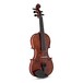 Realist RV5PE Pro Electro Acoustic Violin Outfit upright 