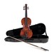 Realist RV5PE Pro Electro Acoustic Violin Outfit main