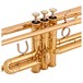 Yamaha YTR6335RC Commercial Bb Trumpet, Lacquer side