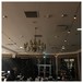 PCE 50m BC Festoon, 1m Spacing with 16A Plug and Socket - example 4