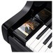 Kawai Novus NV10 Hybrid Digital Piano, Screen