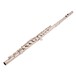 Armstrong FL650-2 Beginner Flute, Curved and Straight Head angle