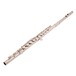 Armstrong FL650 Beginner Flute angle