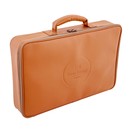 Meinl Energy Chime Case