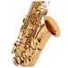 Jupiter JAS500 Alto Saxophone Outfit with Styled Gig Bag Case close