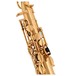 Jupiter JAS500 Alto Saxophone Outfit with Styled Gig Bag Case keys