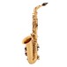 Jupiter JAS500 Alto Saxophone Outfit with Styled Gig Bag Case side