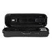 BAM 5001S Stylus Violin Case, Black open