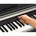 Casio Celviano AP-420 Digital Piano, Black SD Card Slot