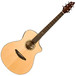 Breedlove Atlas Series Studio C25 6 String inc. Case