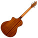 Breedlove Atlas Series Studio C25 6 String Rear