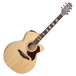 Takamine EG543SC G Series Electro Acoustic Guitar - main