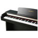 Kurzweil Mark Pro One i Digital Piano, Simulated Rosewood (Medium Close Up)