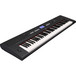 Yamaha Piaggero NP-V60 Portable Keyboard, Black, FREE Stand and DVD