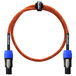 Orange 3 ft Speaker Speakon/Speakon, Woven with white stripes