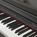 Minster MDP1600 Digital Piano Package - piano